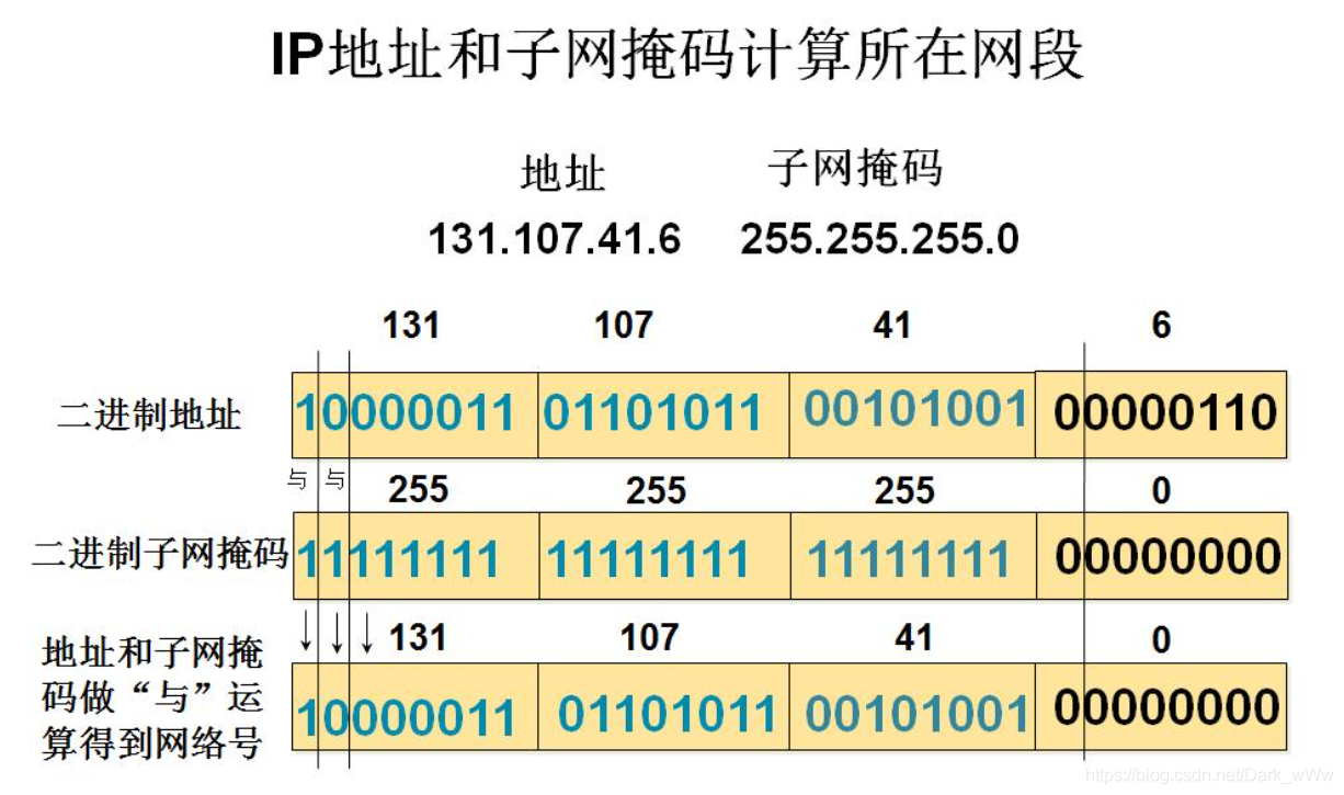 子网号网络号主机号