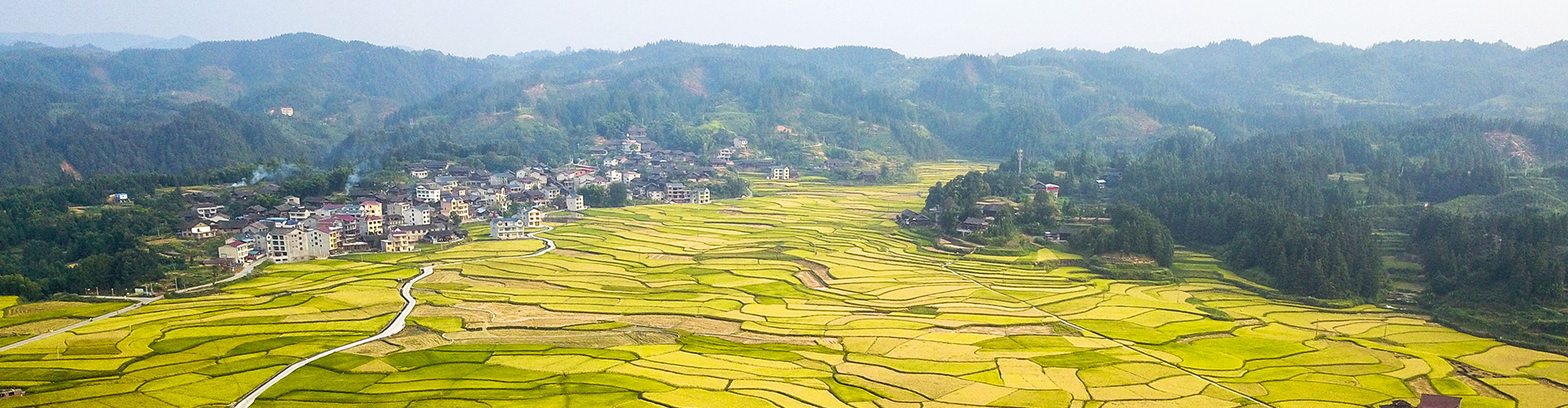 四川农业厅环保厅畜禽规模备案