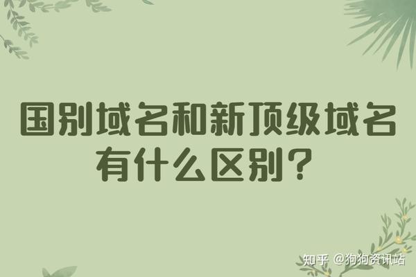 为什么顶级域名有排名